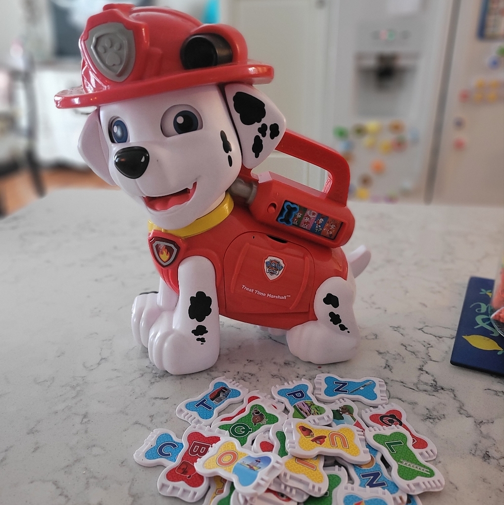 Paw Patrol V Tech Toy